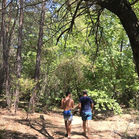 Antalya Bodrum Kayasi Dag Oteli Hasdumen Luaran gambar