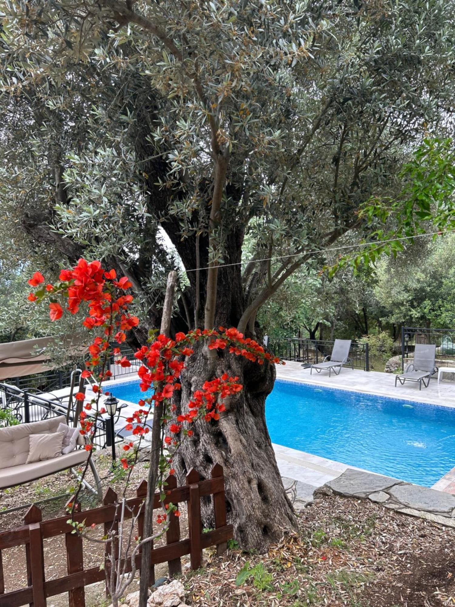 Antalya Bodrum Kayasi Dag Oteli Hasdumen Luaran gambar